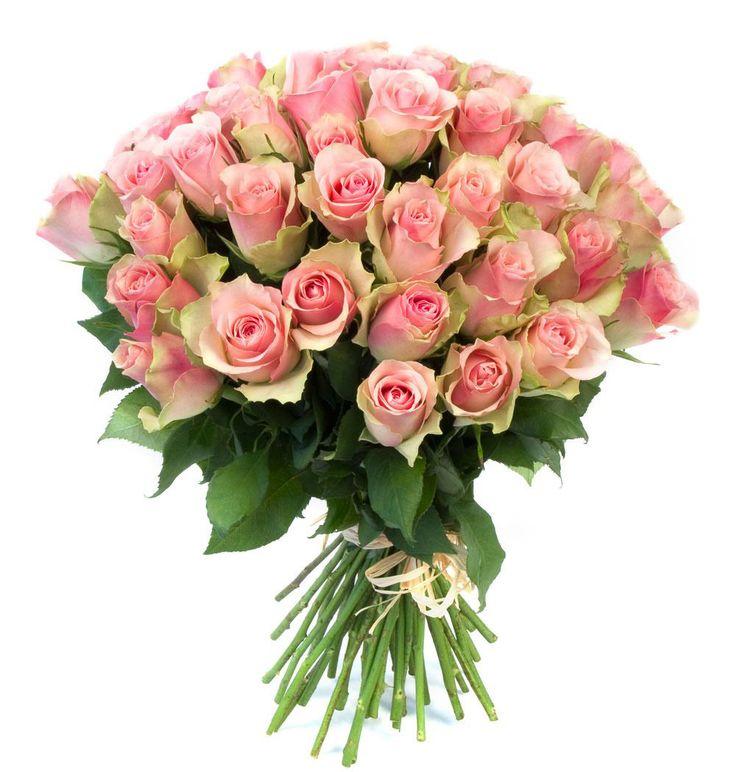 Eternal Embrace: Timeless Floral Harmony
